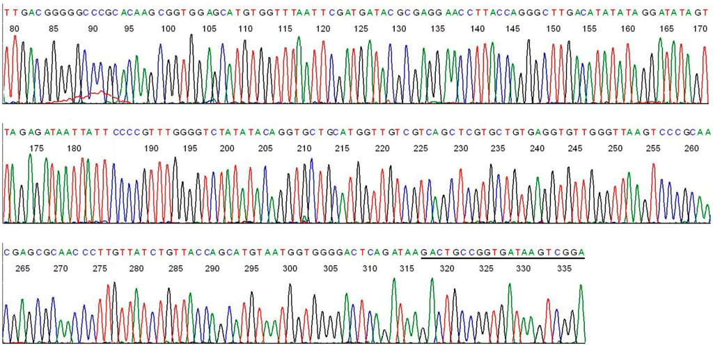 Ijms 15 11364 g005 1024