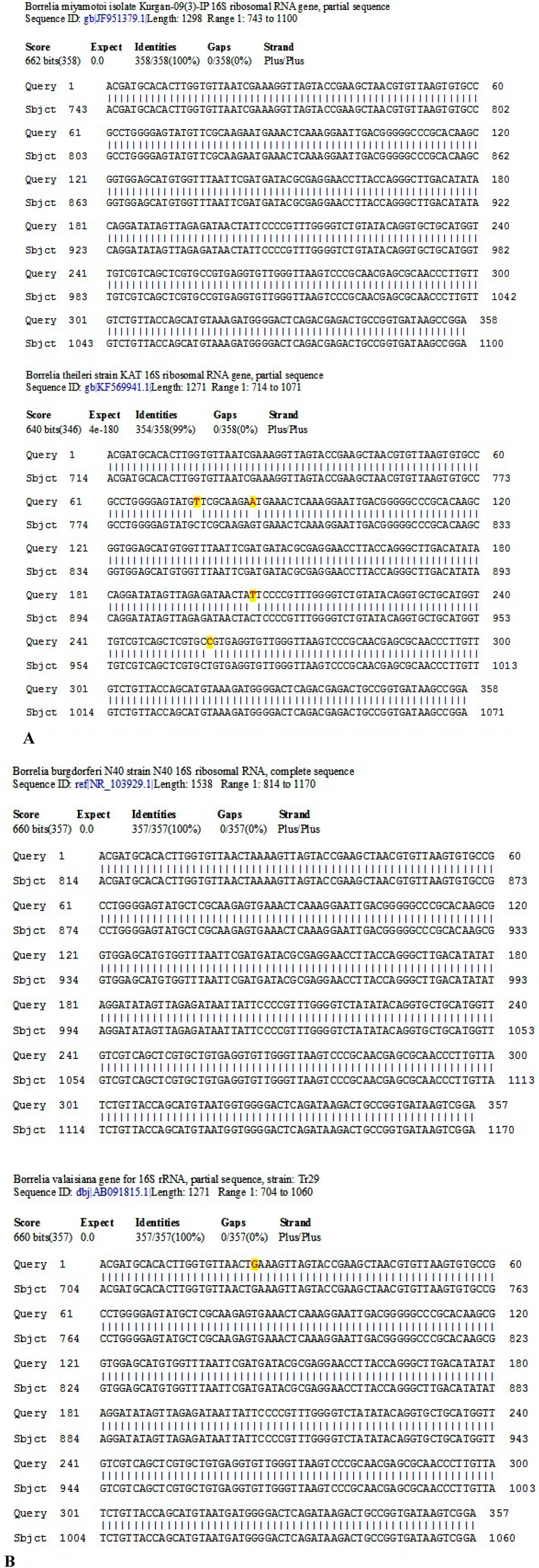 Ijms 15 11364 g006 1024