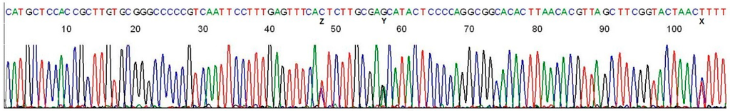 Ijms 15 11364 g008 1024