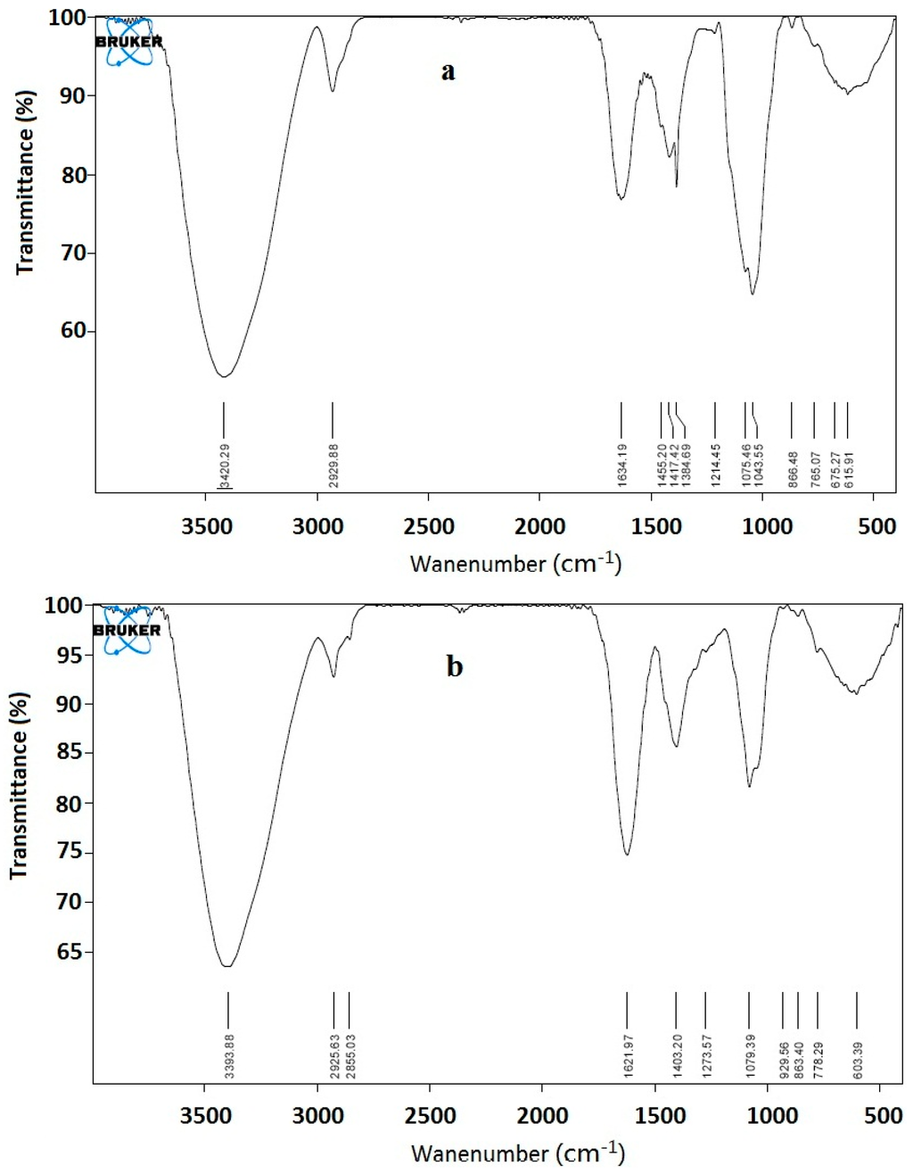 Ijms 15 11446 g004 1024