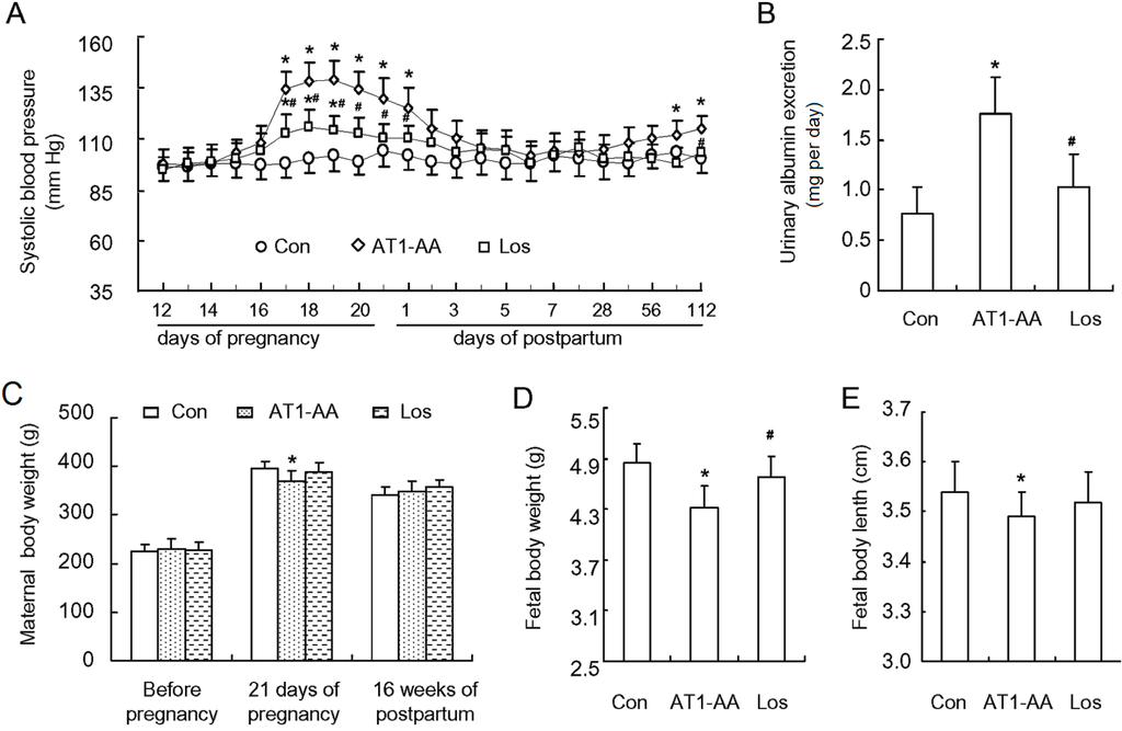Ijms 15 11495 g001 1024