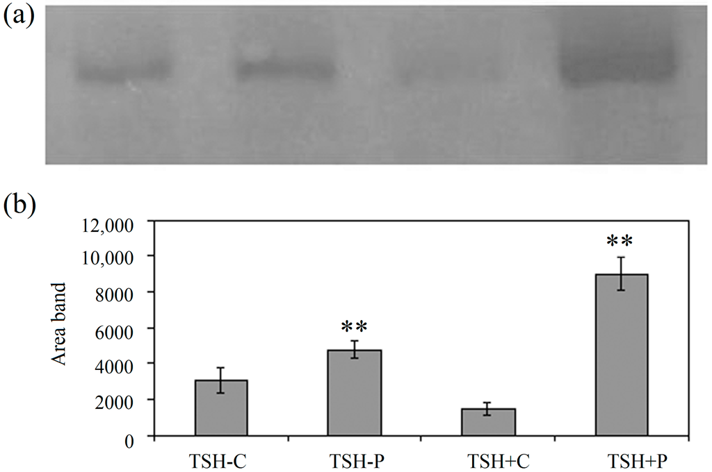 Ijms 15 11555 g001 1024