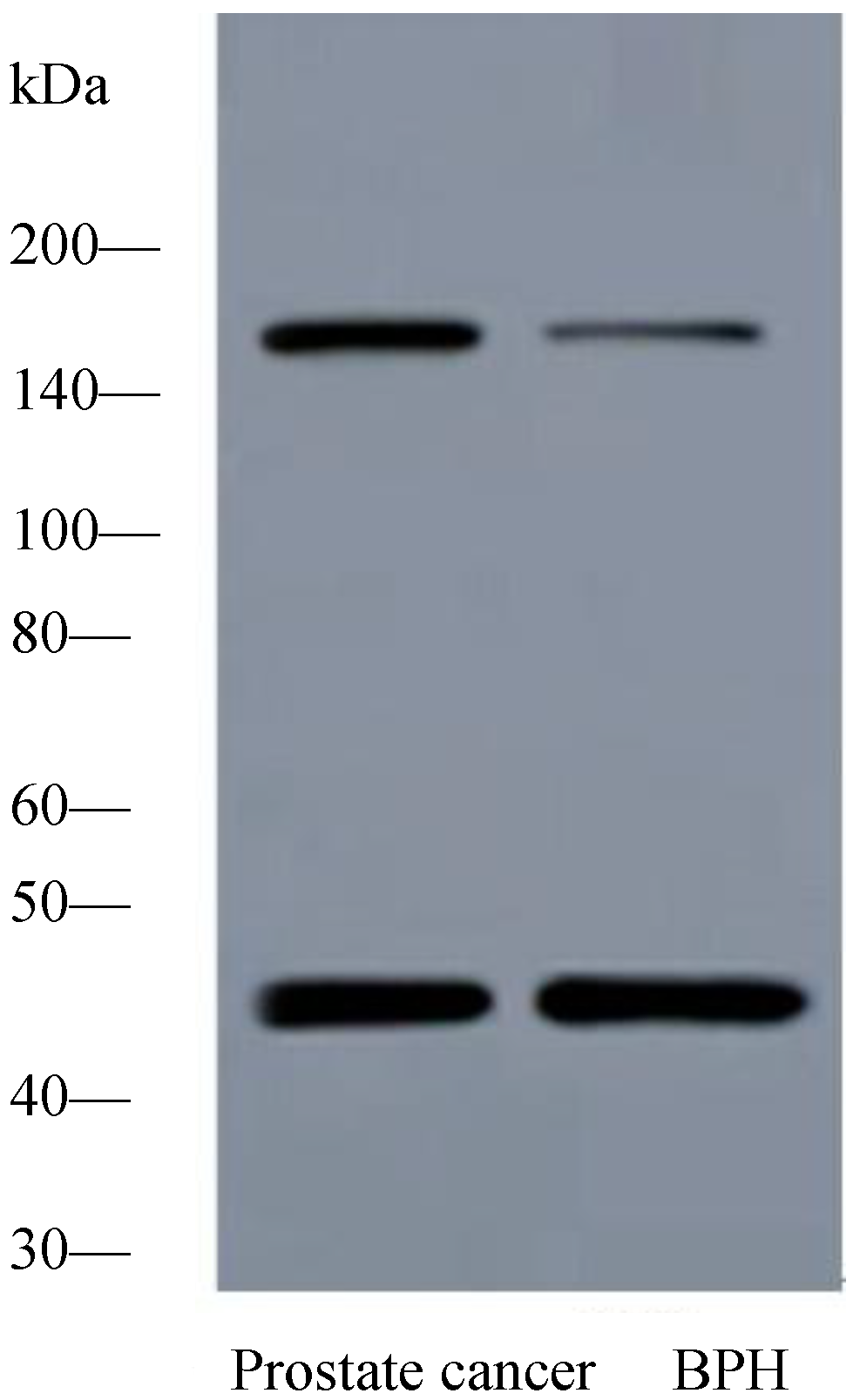 Ijms 15 11665 g001 1024