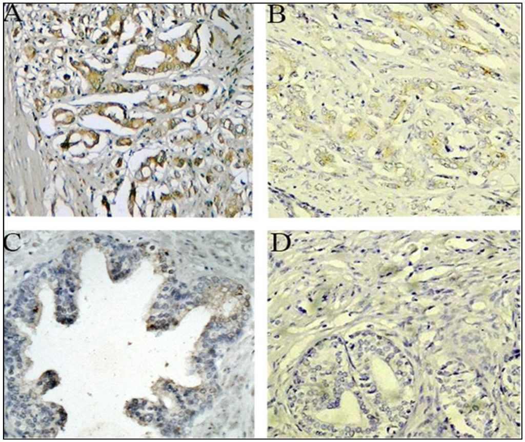 Ijms 15 11665 g002 1024