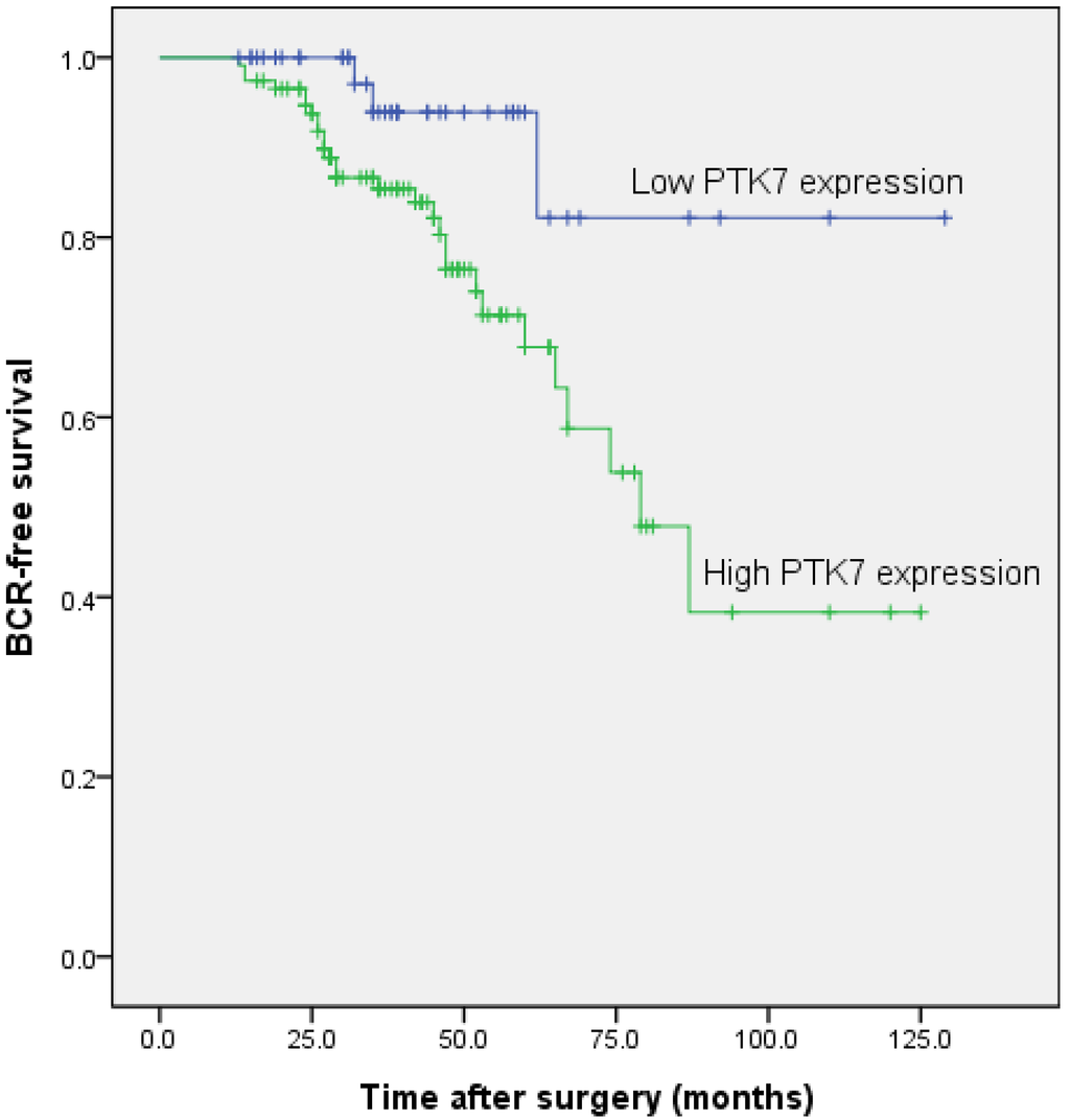 Ijms 15 11665 g003 1024