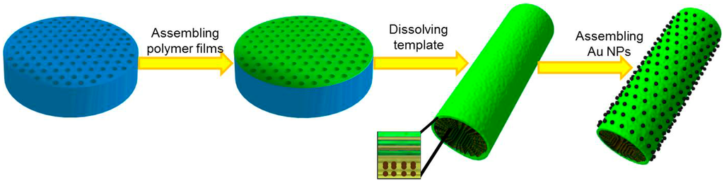 Ijms 15 11730 g001 1024