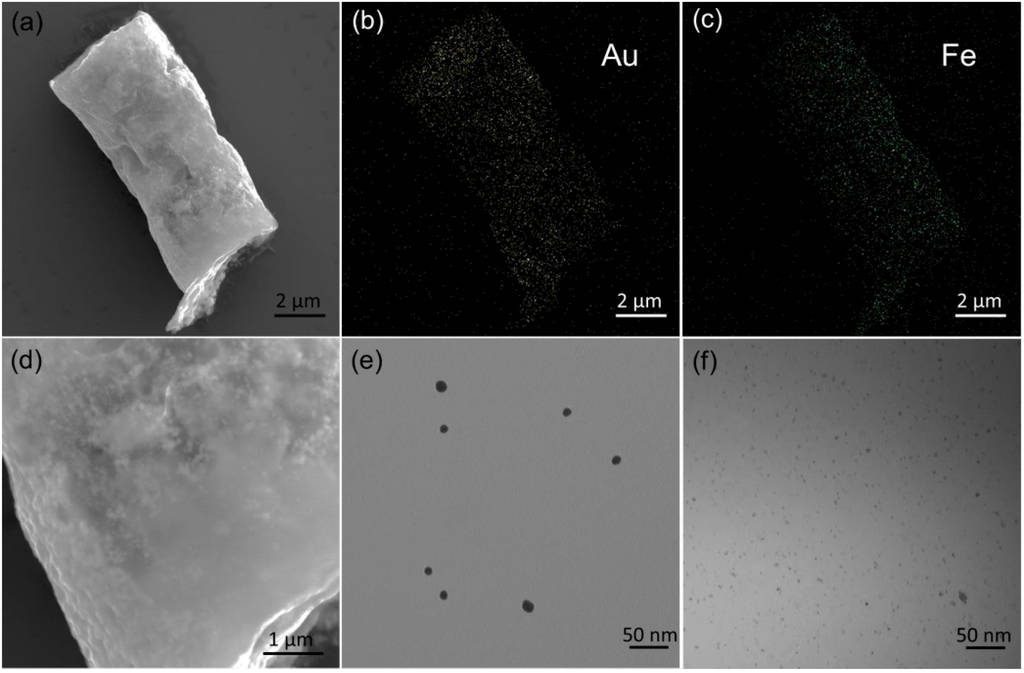 Ijms 15 11730 g002 1024