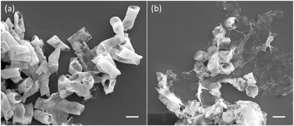 Ijms 15 11730 g005 1024