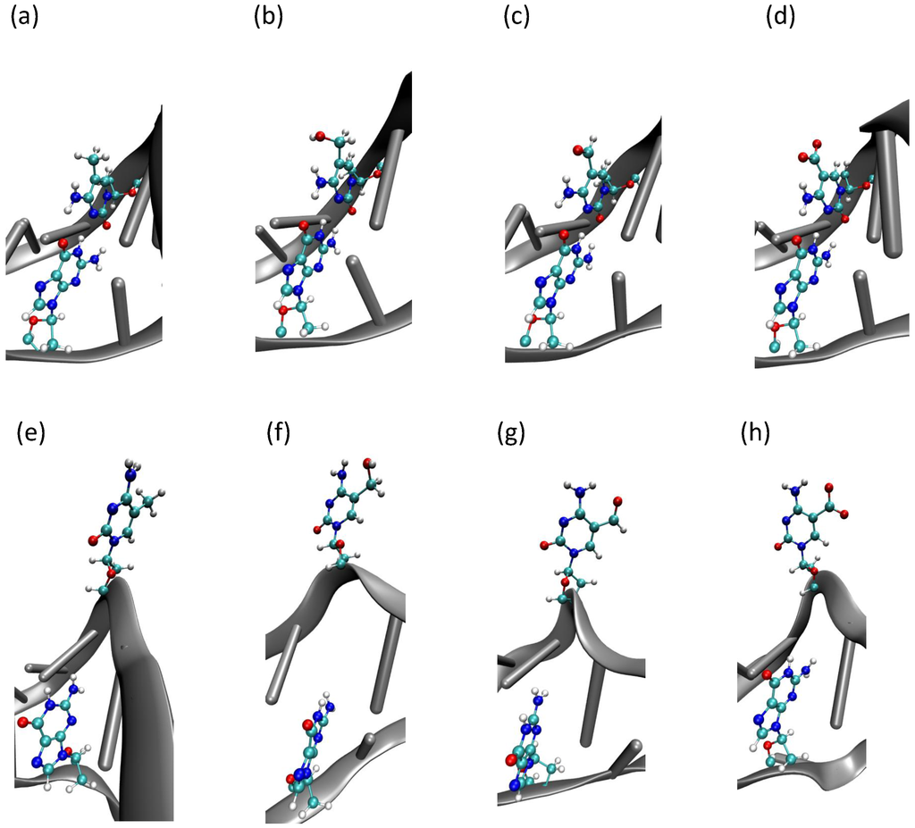 Ijms 15 11799 g005 1024