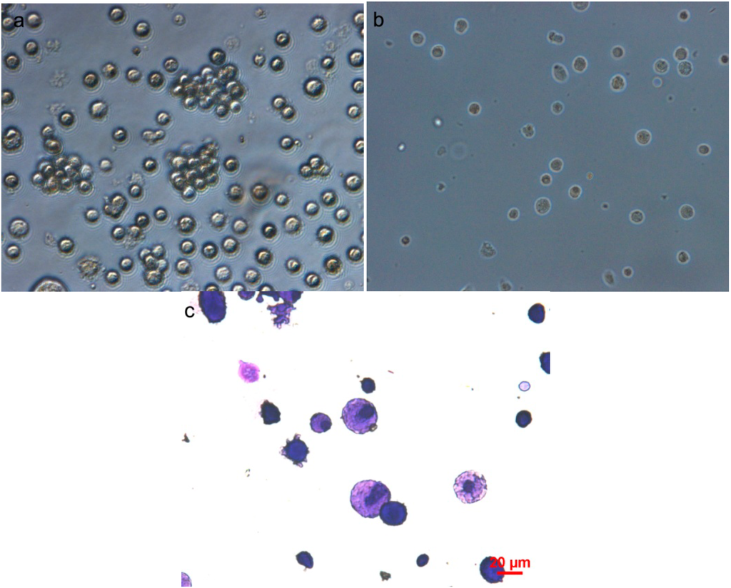 Ijms 15 11817 g001 1024