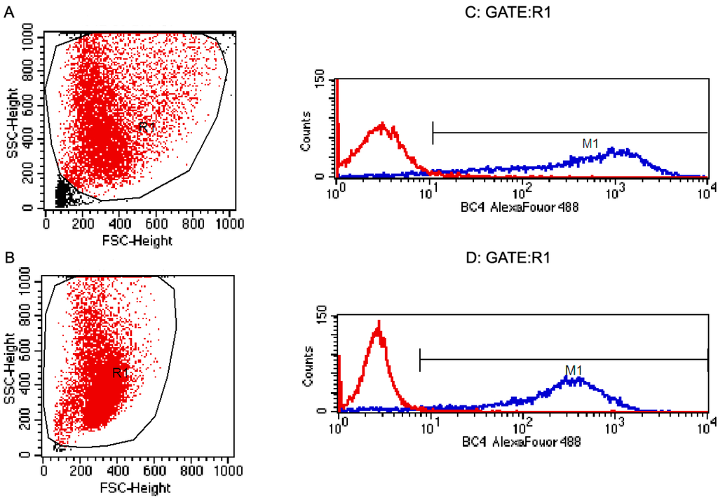 Ijms 15 11817 g002 1024