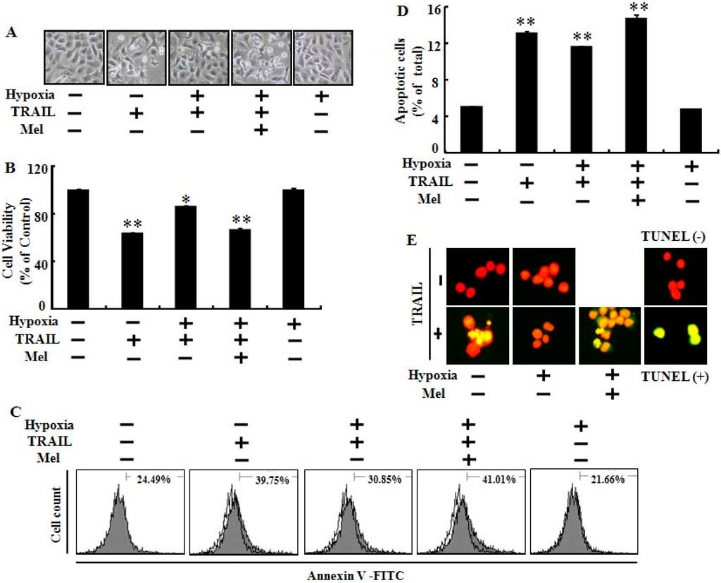Ijms 15 11941 g002 1024