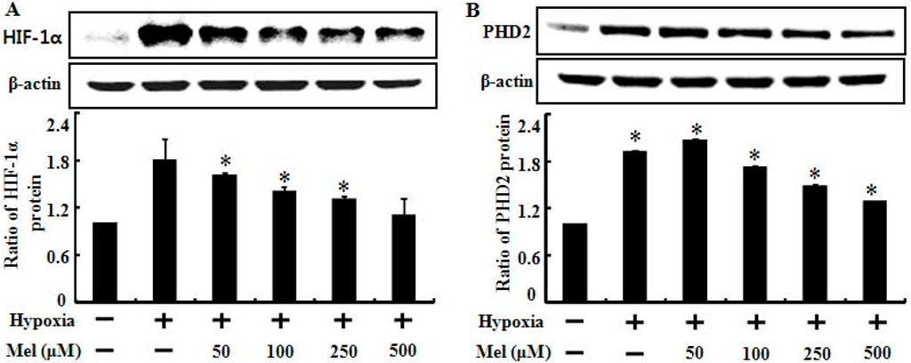 Ijms 15 11941 g003 1024