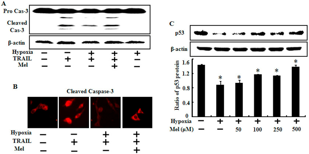 Ijms 15 11941 g004 1024