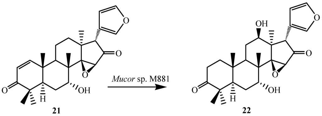 Ijms 15 12027 g008 1024
