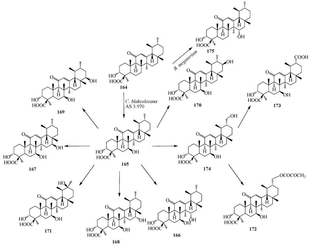 Ijms 15 12027 g047 1024