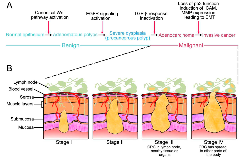 Ijms 15 12094 g002 1024