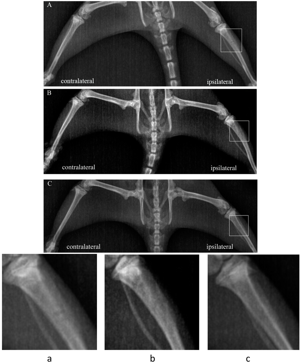 Ijms 15 12135 g001 1024