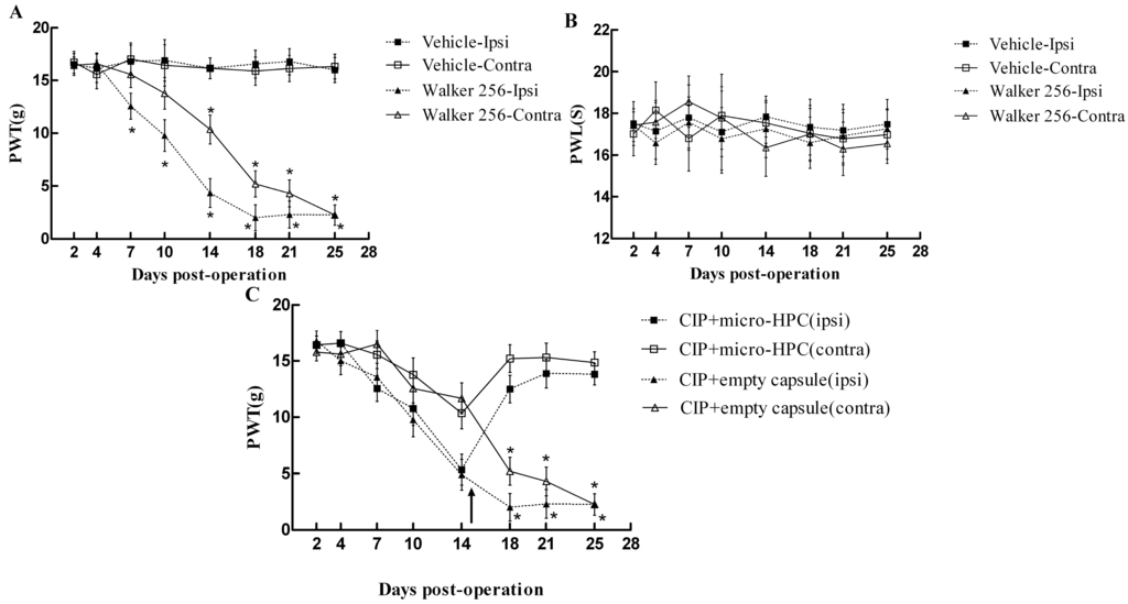 Ijms 15 12135 g002 1024