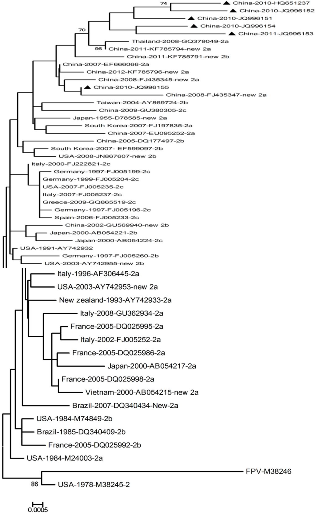 Ijms 15 12166 g005 1024