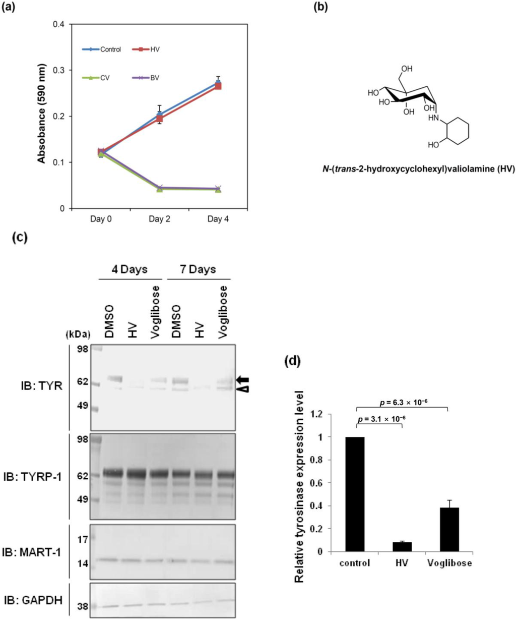 Ijms 15 12188 g001 1024