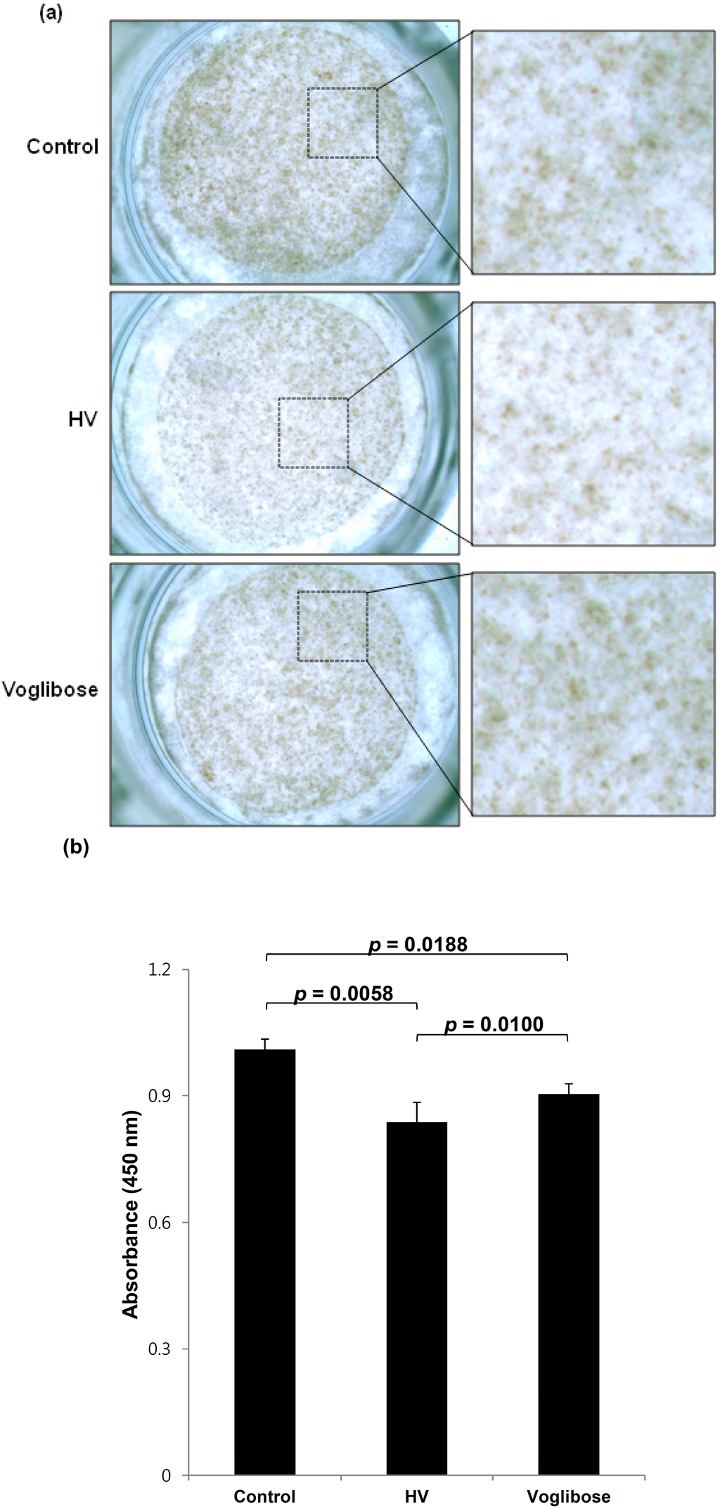 Ijms 15 12188 g002 1024