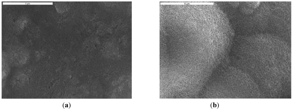 Ijms 15 12294 g003 1024