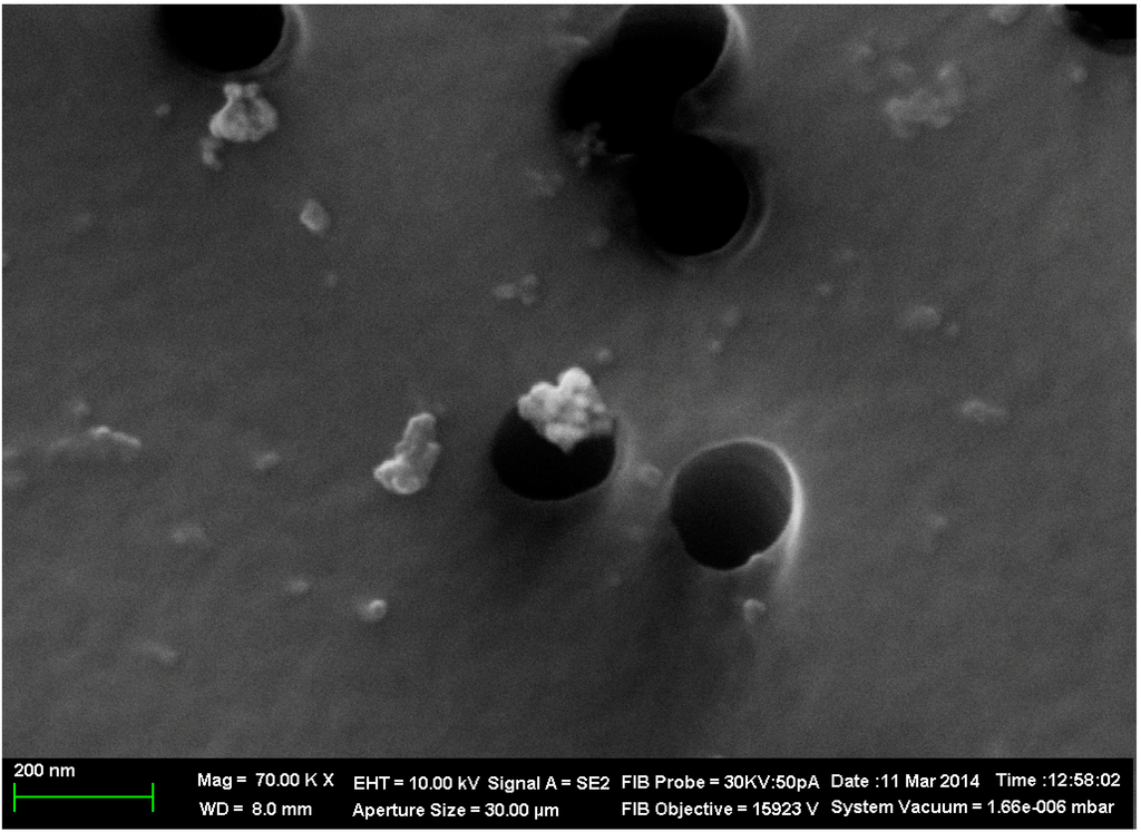 Ijms 15 12379 g001 1024