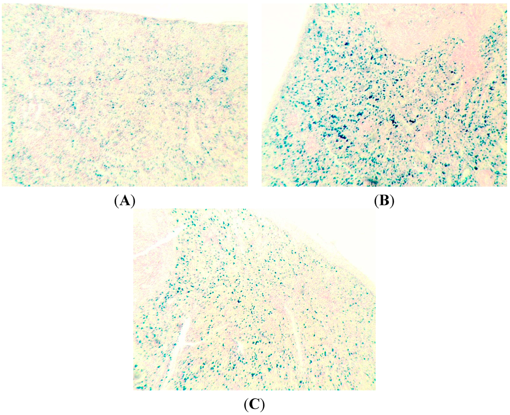 Ijms 15 12379 g006 1024