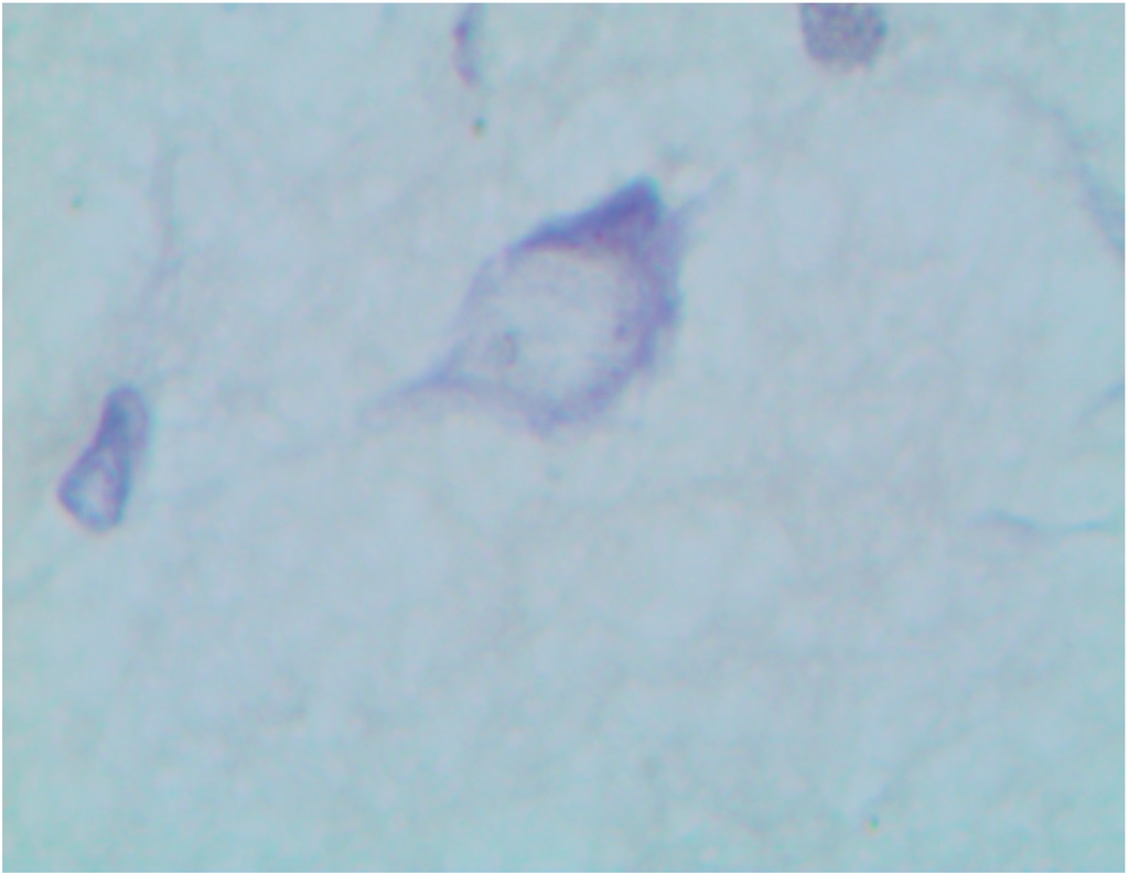 Ijms 15 12379 g010 1024