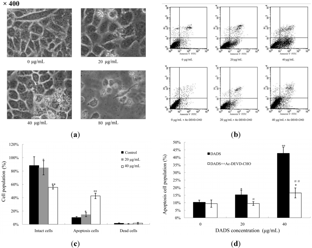 Ijms 15 12422 g003 1024
