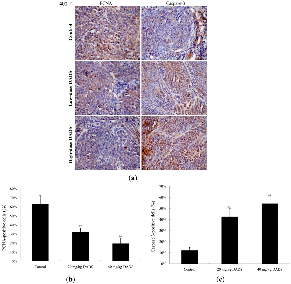 Ijms 15 12422 g005 1024