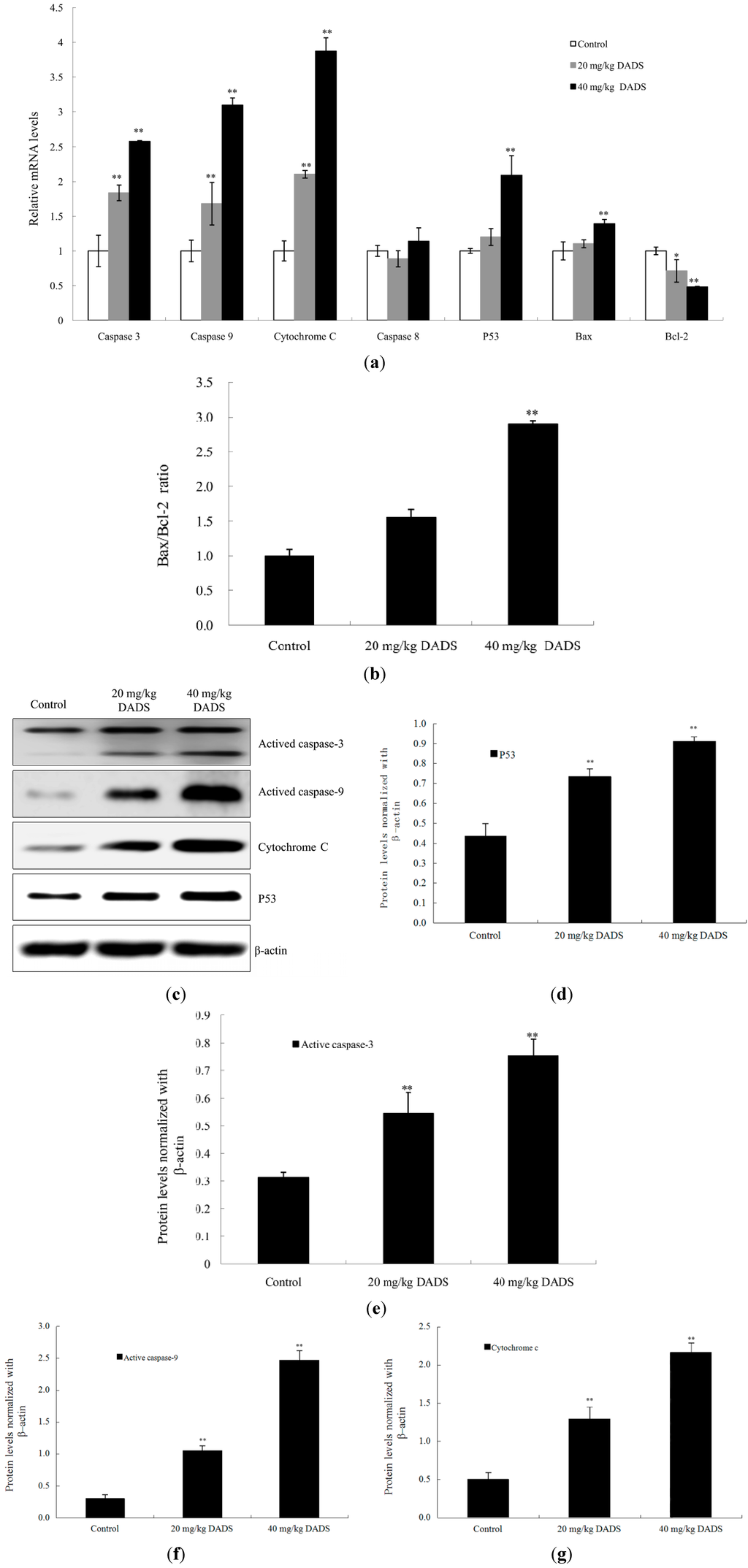 Ijms 15 12422 g006 1024