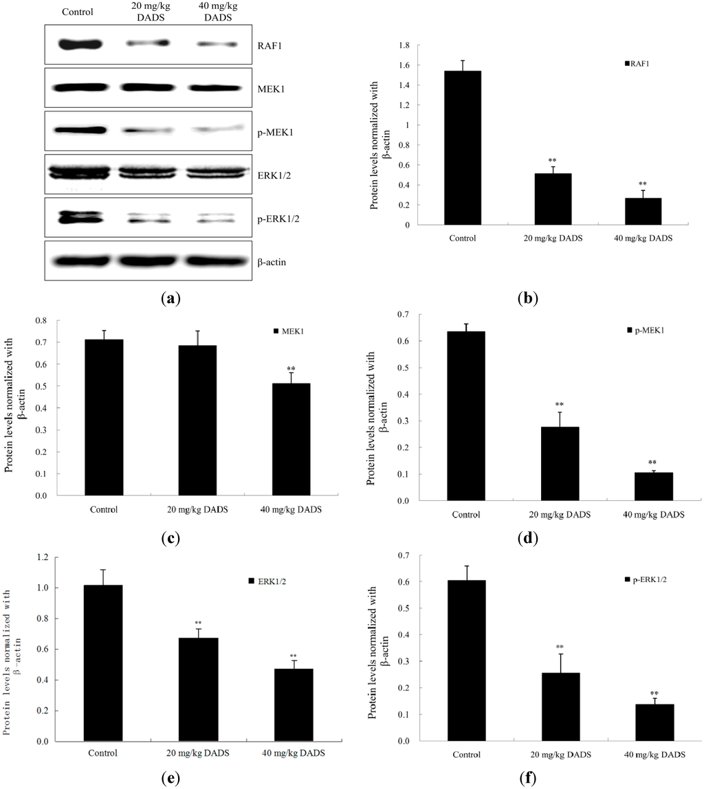 Ijms 15 12422 g007 1024