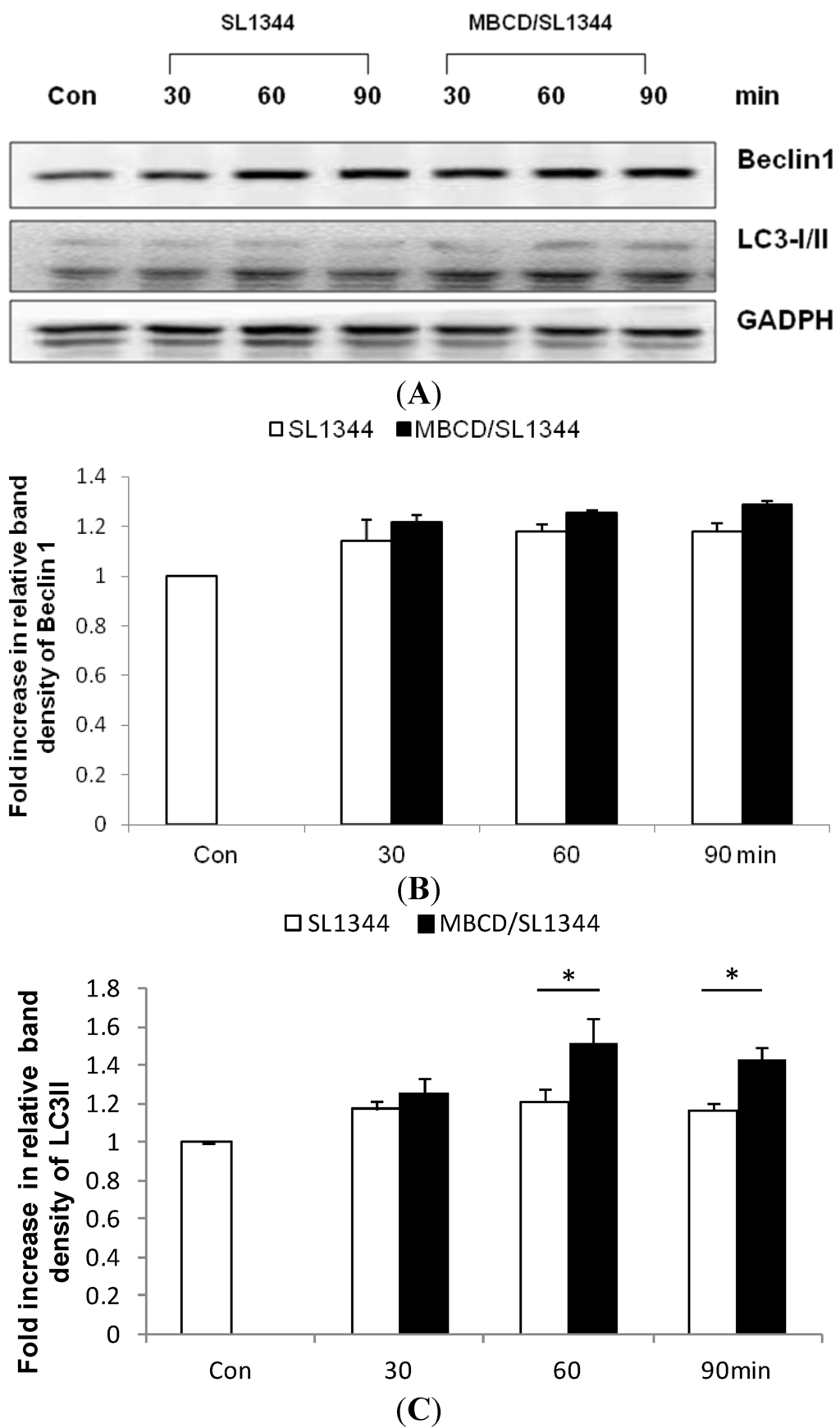Ijms 15 12558 g001 1024