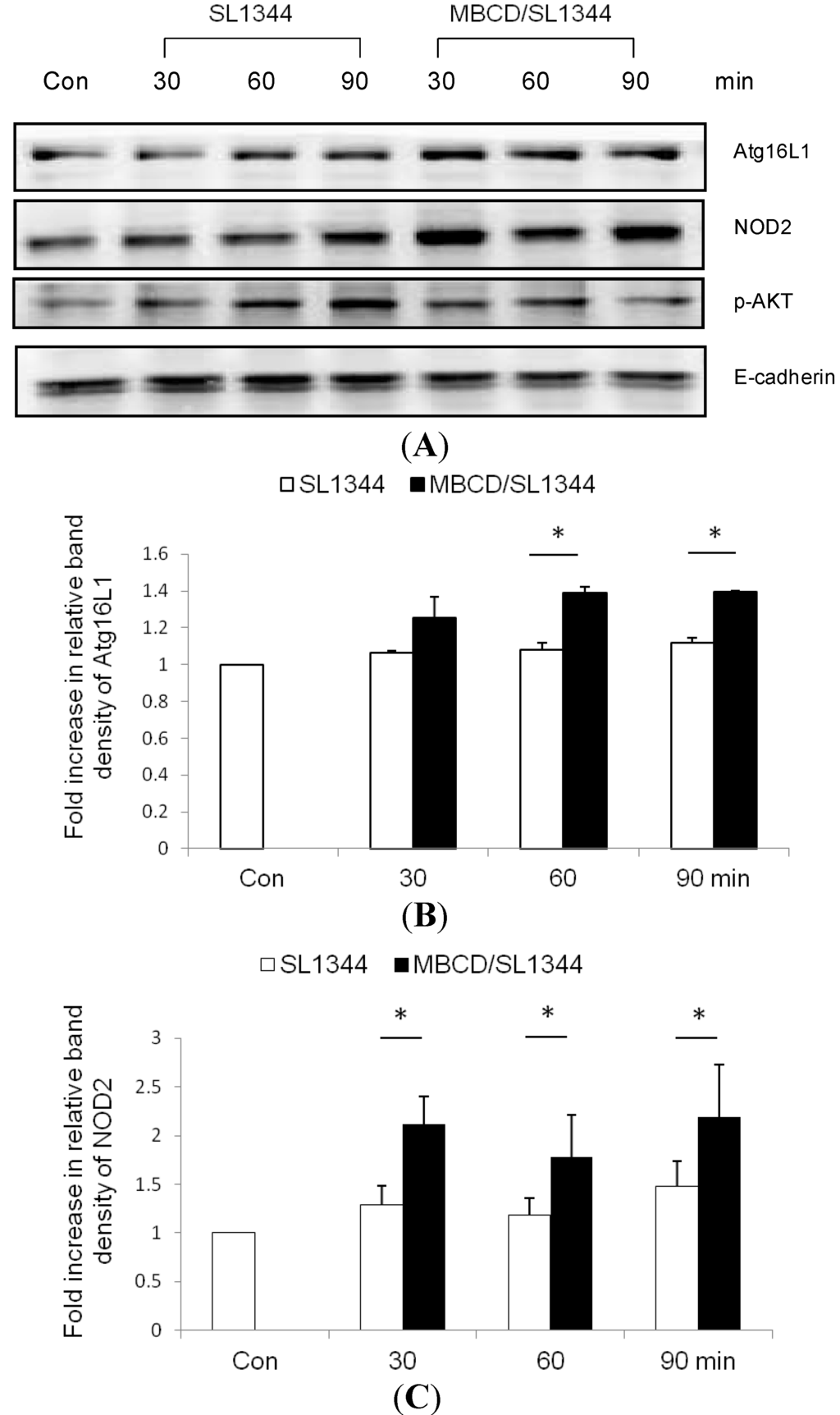 Ijms 15 12558 g003 1024