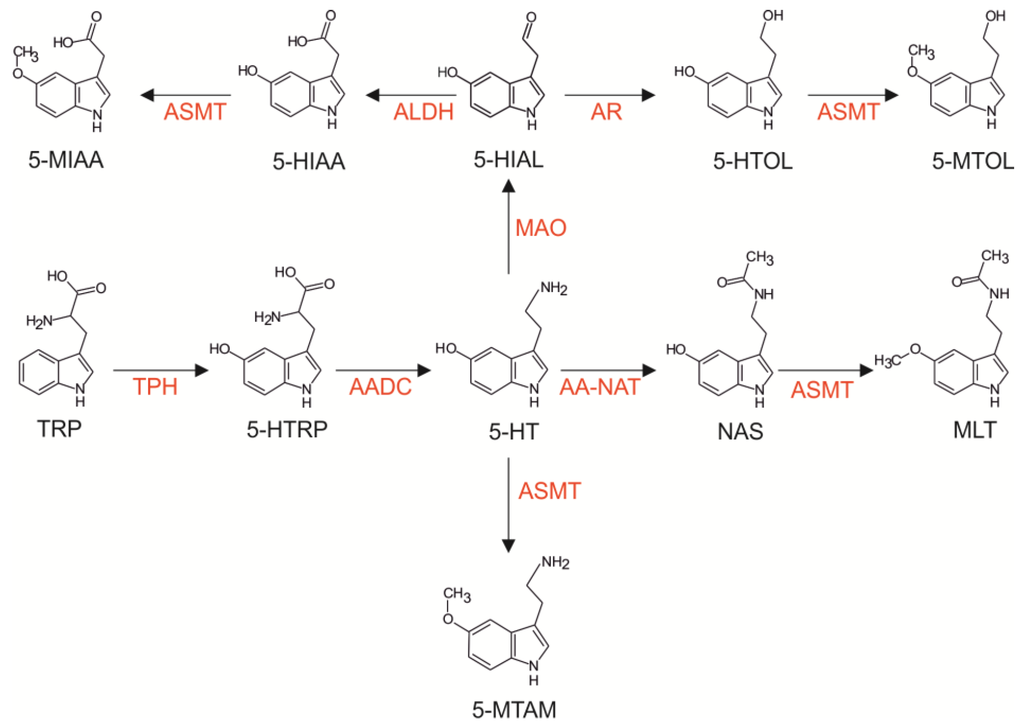 Ijms 15 12604 g001 1024
