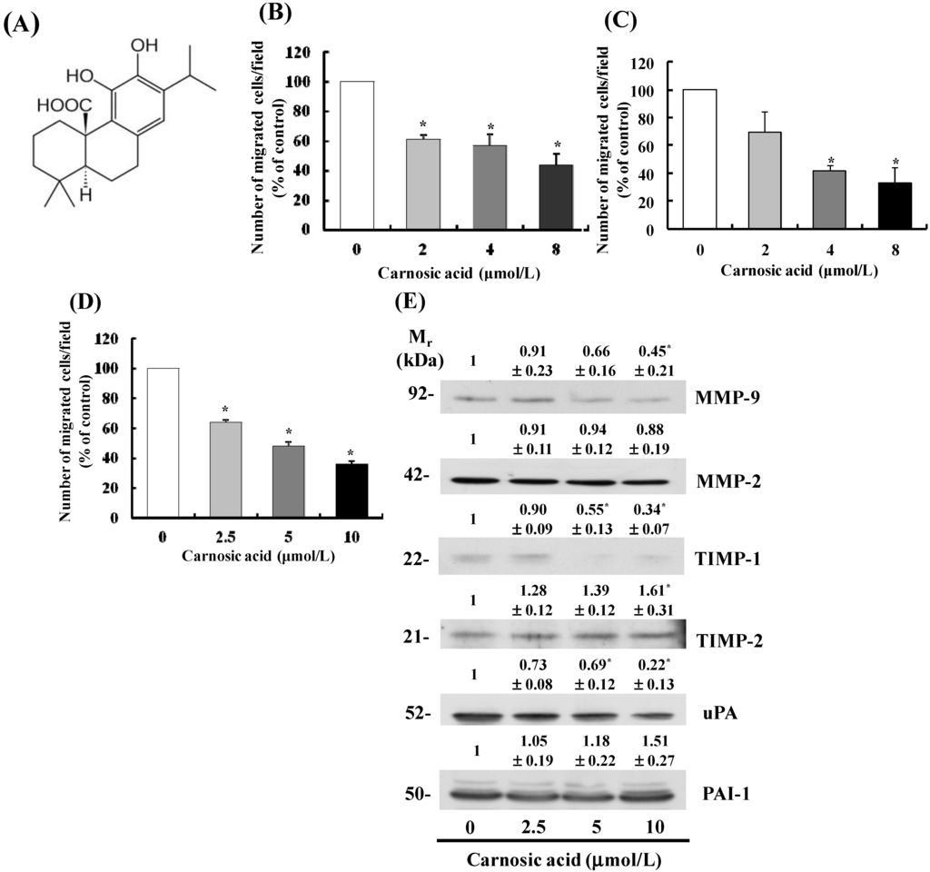 Ijms 15 12698 g001 1024