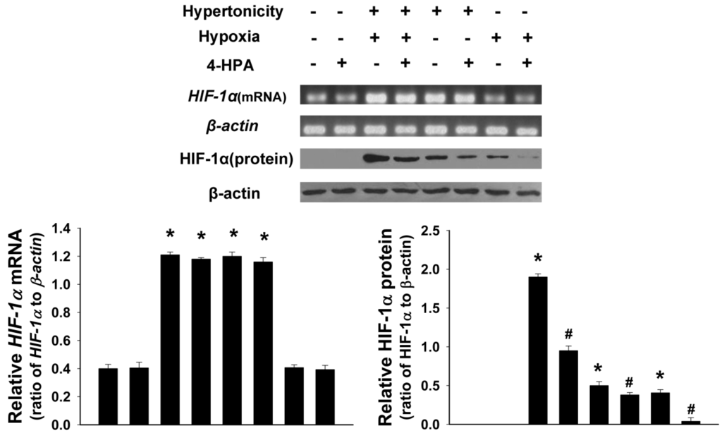 Ijms 15 12861 g005 1024