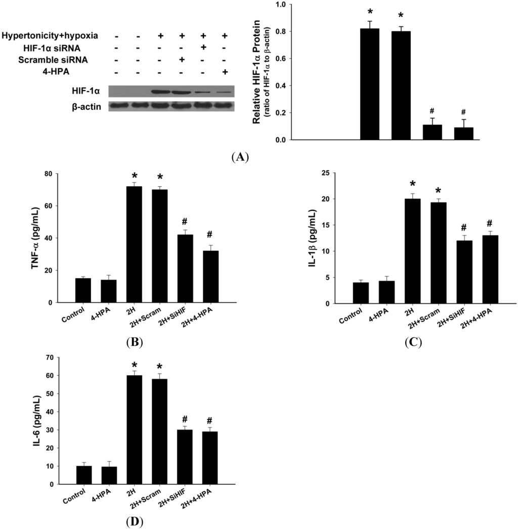 Ijms 15 12861 g008 1024