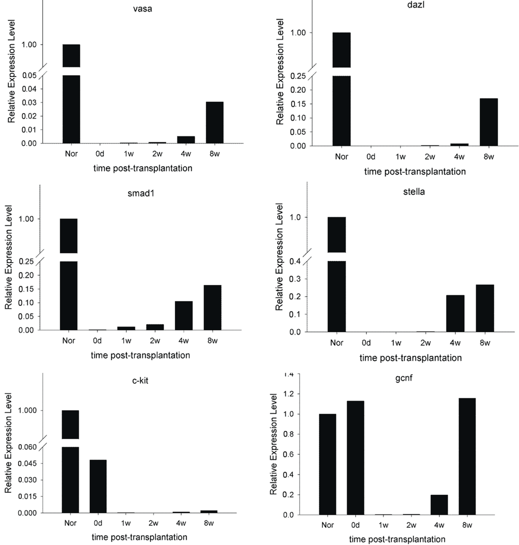 Ijms 15 13151 g005 1024