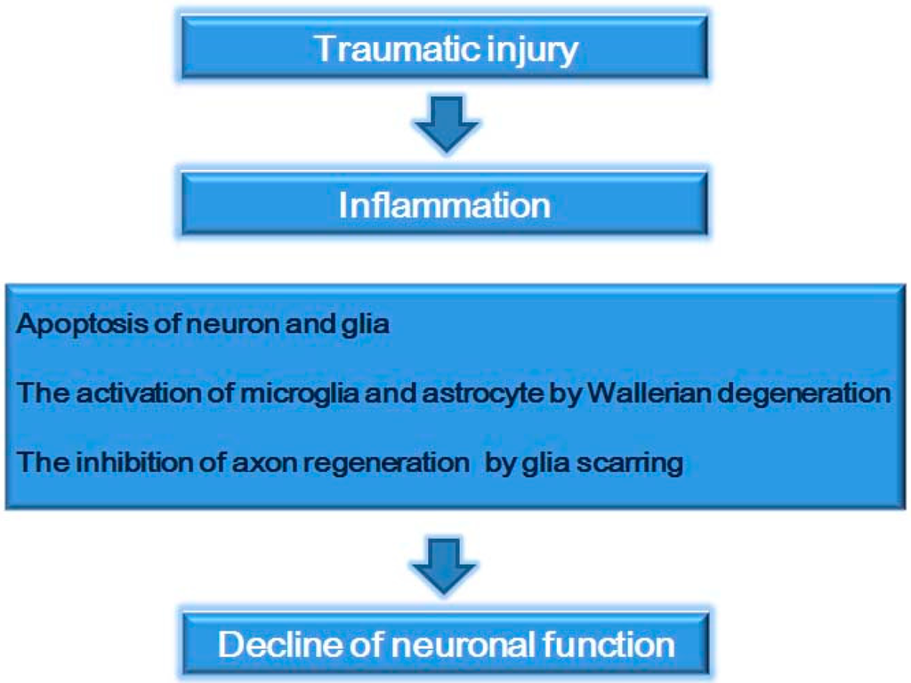 Ijms 15 13172 g001 1024