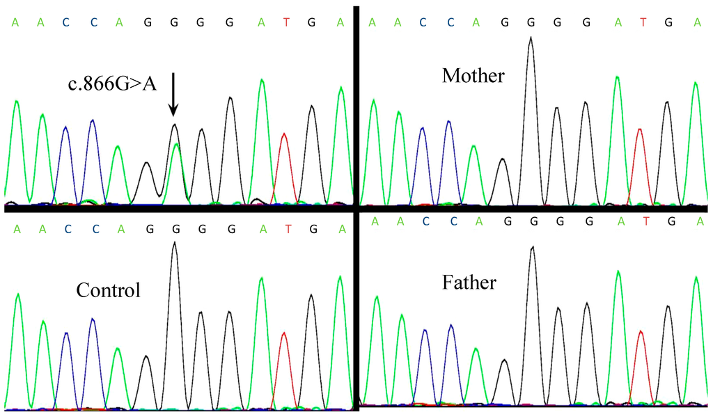 Ijms 15 13267 g002 1024