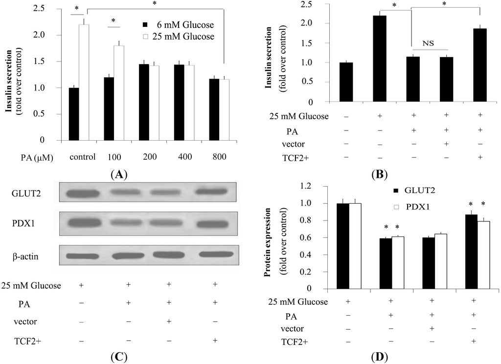 Ijms 15 13317 g004 1024