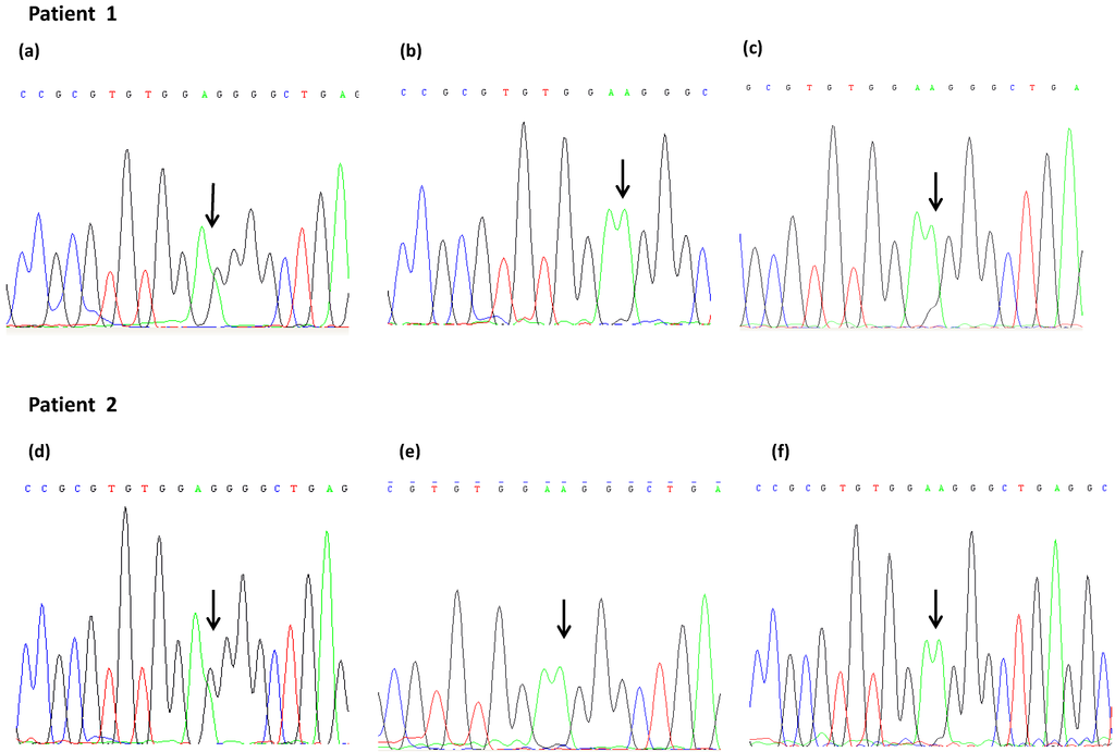 Ijms 15 13333 g001 1024