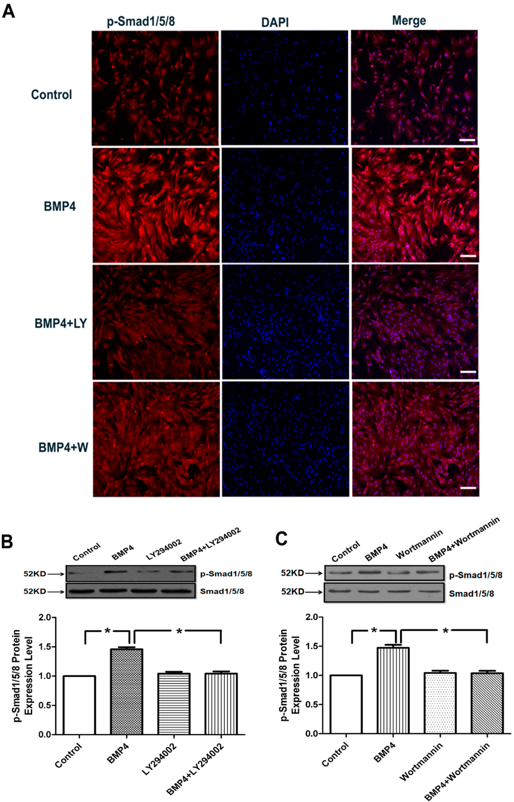 Ijms 15 13738 g005 1024