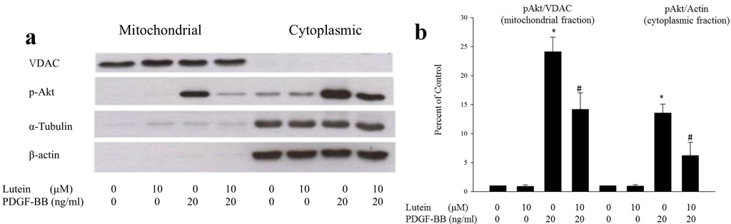 Ijms 15 13755 g002 1024