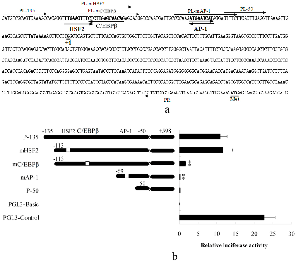Ijms 15 13802 g001 1024