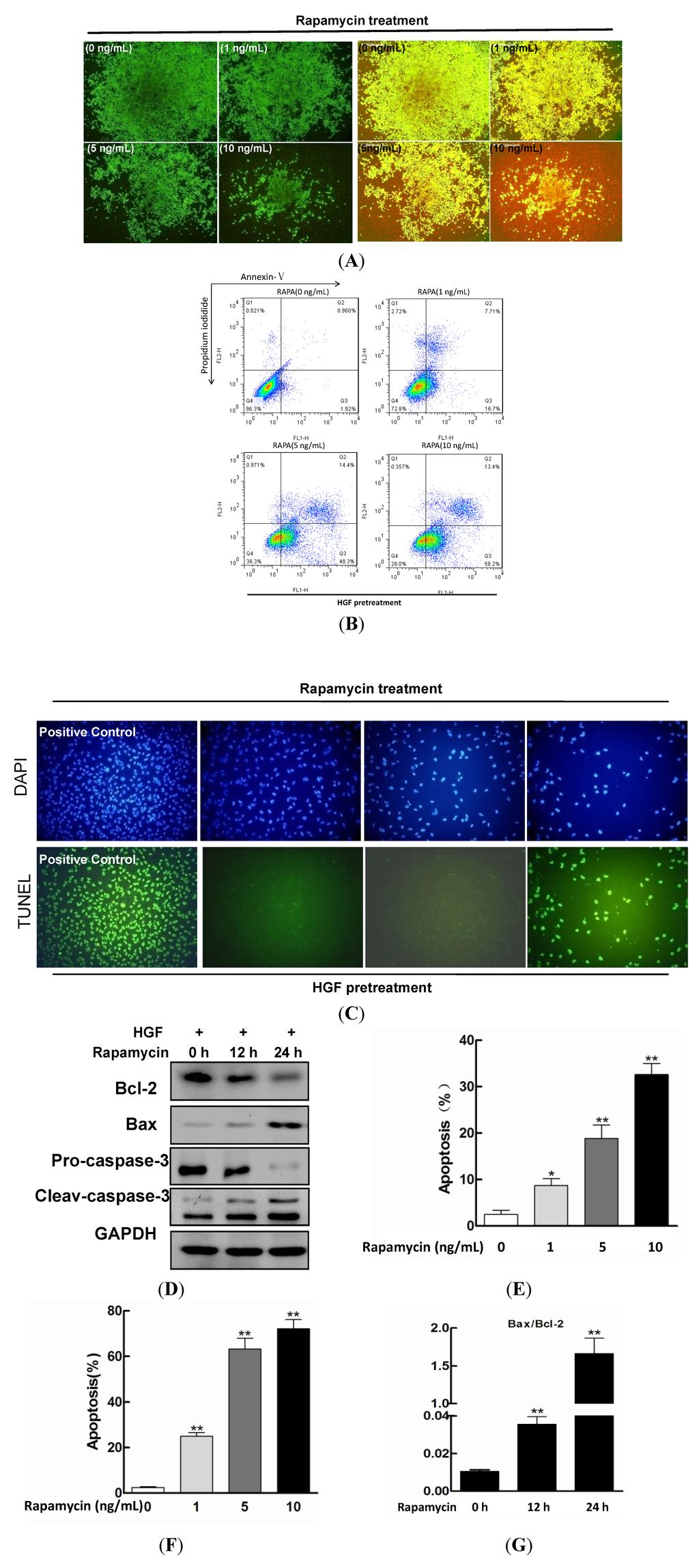 Ijms 15 13833 g002 1024