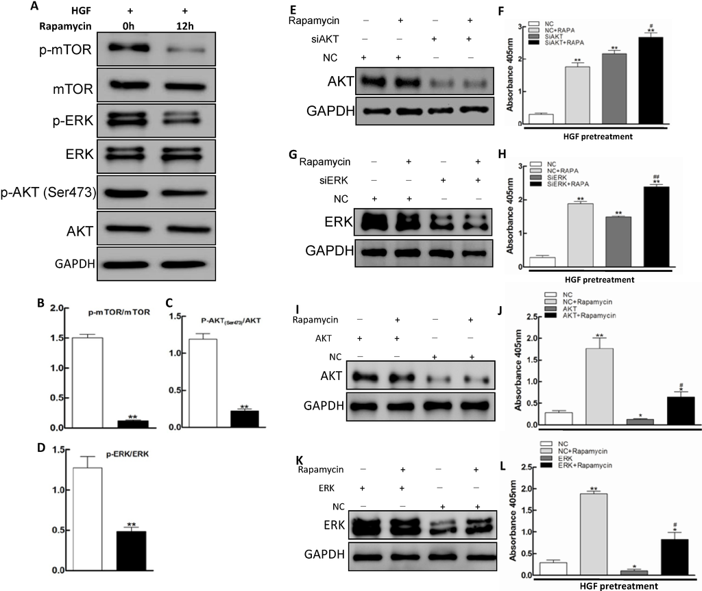 Ijms 15 13833 g003 1024